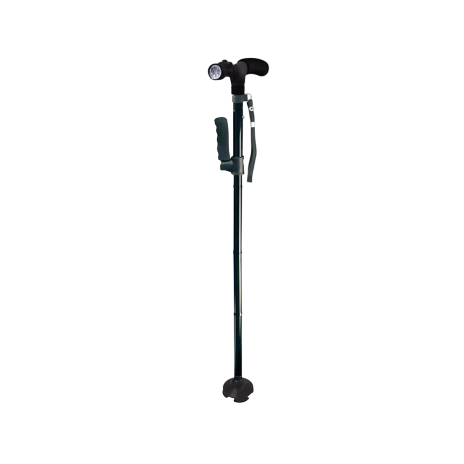 LumiStaff